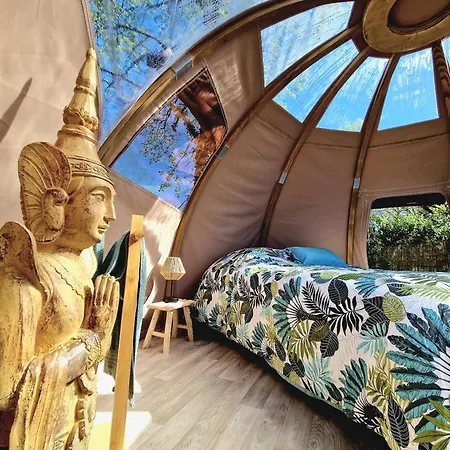 Les Nuits De Cassiopee * Sorde-lʼAbbaye