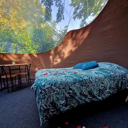 Les Nuits De Cassiopee Sorde-lʼAbbaye