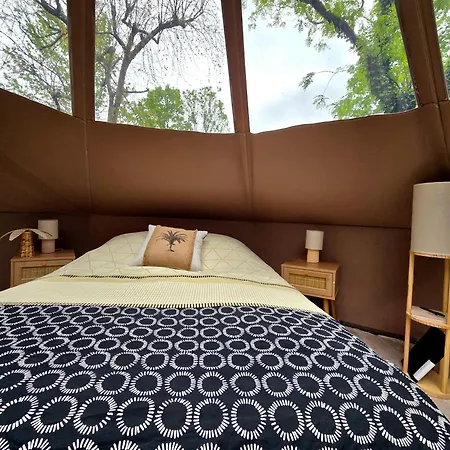 Les Nuits De Cassiopee * Sorde-lʼAbbaye