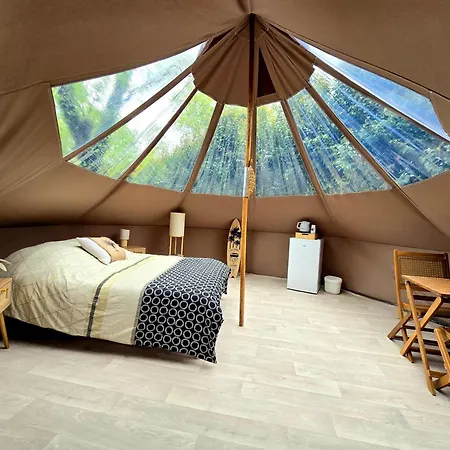 Les Nuits De Cassiopee