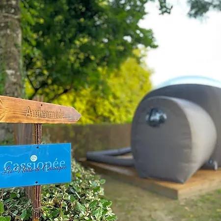 Les Nuits De Cassiopee *