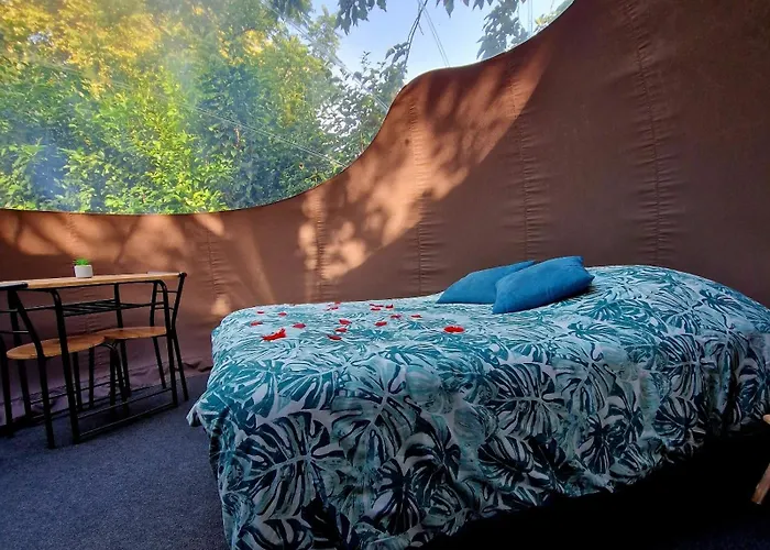 Les Nuits De Cassiopee Sorde-lʼAbbaye