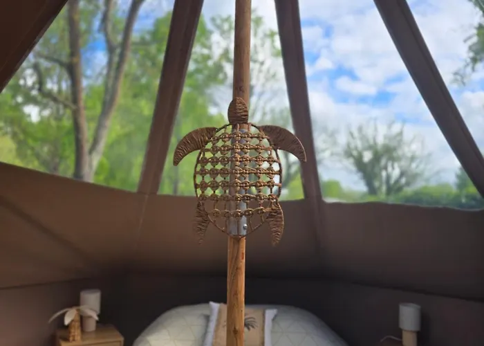 Les Nuits De Cassiopee Sorde-l'Abbaye